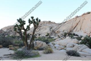 Photo Reference of Background Nature 0204